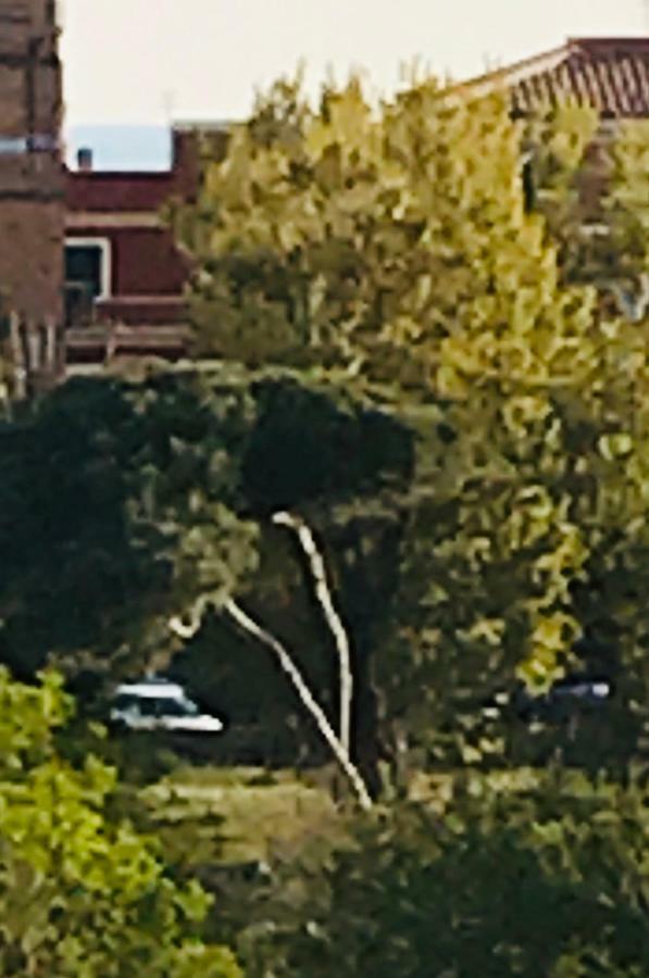 Rome On The Beach Apartment Lido di Ostia Luaran gambar